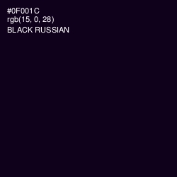 #0F001C - Black Russian Color Image